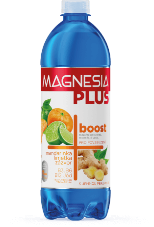 Magnesia Plus